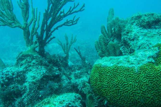 Full-Day Sailing Trip to Mujeres Island From Playa Del Carmen - Inclusions