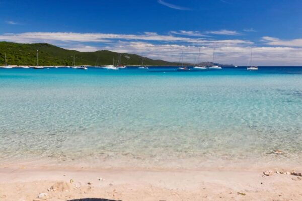 Full Day Sakarun With Speedboat - Additional Information