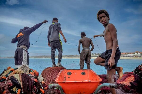 Full Day Sal Island Tour in Santa Maria - Cancellation Policy and Reviews