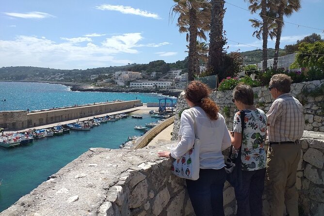 Full-day Salento Wine and Food Tour - Wine Estate Visits