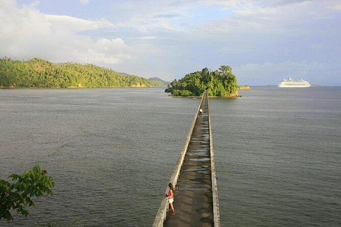Full-Day Samana Whales Watching Season By Bus - Tour Schedule and Itinerary