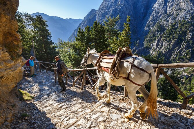Full-Day Samaria Gorge Hiking Tour From Rethymnon - The Sum Up