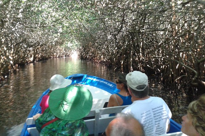 Full-Day San Blas Tour From Puerto Vallarta - Overview of San Blas Tour
