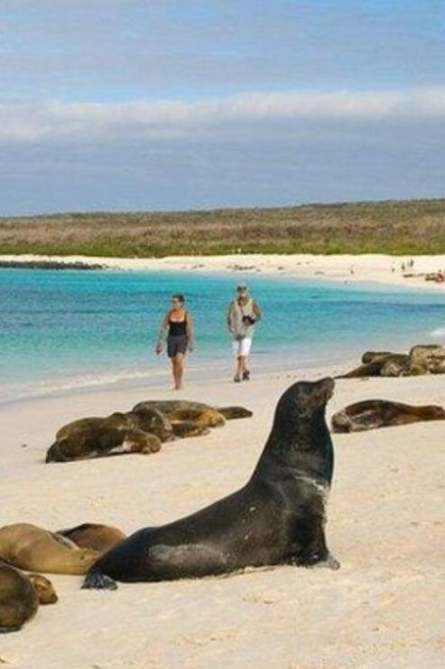 Full Day San Cristobal Tour - 360 Degrees - Tour Details