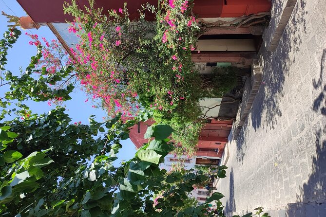 Full Day: San Miguel De Allende - Common Questions