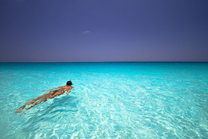 Full Day Sandbank Picnic in Pemba Island - Experience Highlights