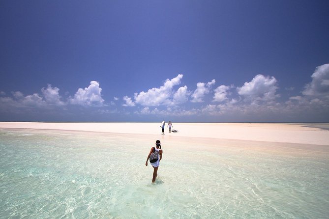 Full Day Sandbank Picnic in Pemba Island - Pricing and Booking Options