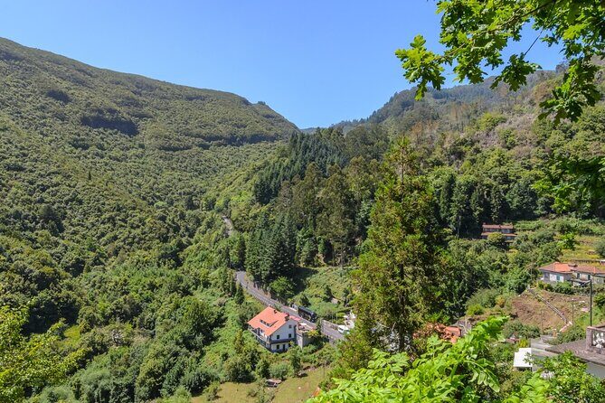 Full-Day Santana Madeira Island Tour - The Experience from the Guides’ Perspective