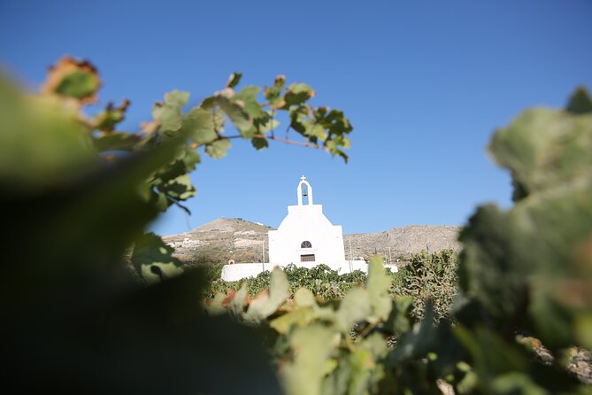 Full Day Santorini Photo Workshop - Pricing and Terms