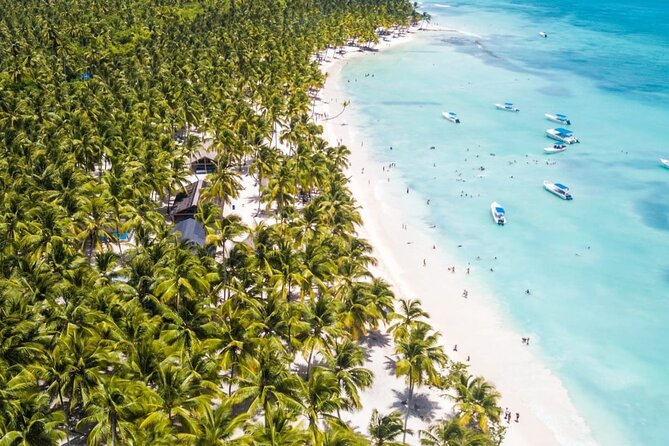 Full Day Saona Island Day Trip From Punta Cana - Trip Highlights