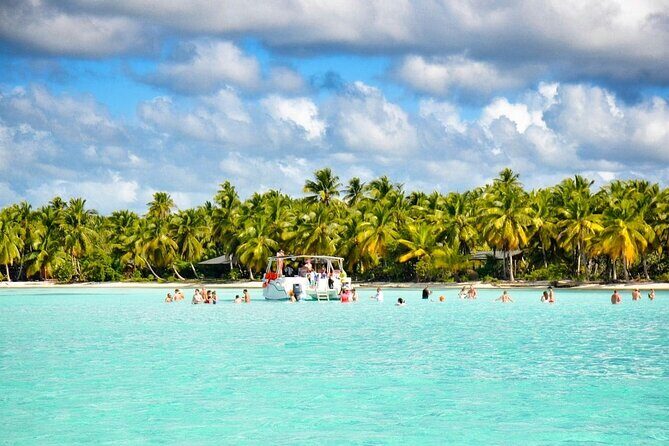 Full-Day Saona Island Escape  Beaches, Adventure, Paradise Vibes - Transportation and Logistics
