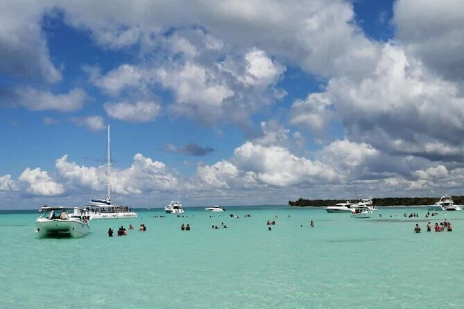 Full-Day Saona Island Escape  Beaches, Adventure, Paradise Vibes - Summary: The Value Proposition and Who Will Love It