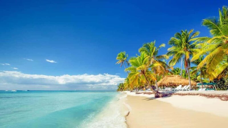 Full-Day Saona Island Excursion with Catamaran Party - Who Will Love This Tour?  