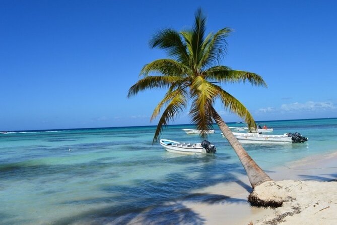 Full Day Saona Island Tour With Dominican Style Lunch and Drinks - Tour Itinerary