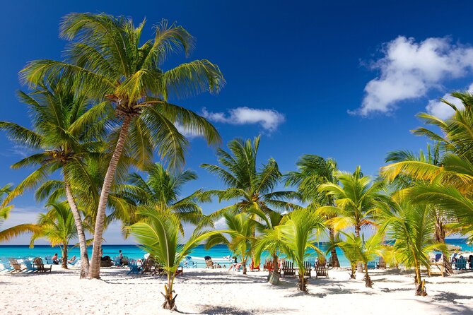 Full Day Saona Island Tour With Dominican Style Lunch and Drinks - Dominican Style Lunch