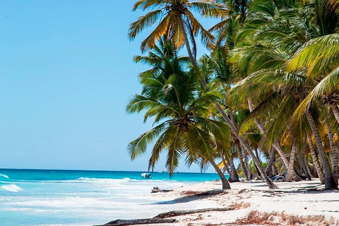 Full Day Saona Island Tour With Dominican Style Lunch and Drinks - Tour Inclusions
