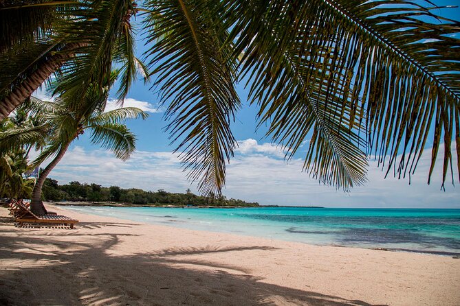 Full Day Saona Island Tour With Dominican Style Lunch and Drinks - Booking and Reservation Details
