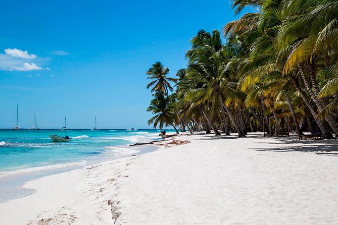Full Day Saona Island Tour With Dominican Style Lunch and Drinks - Common Questions