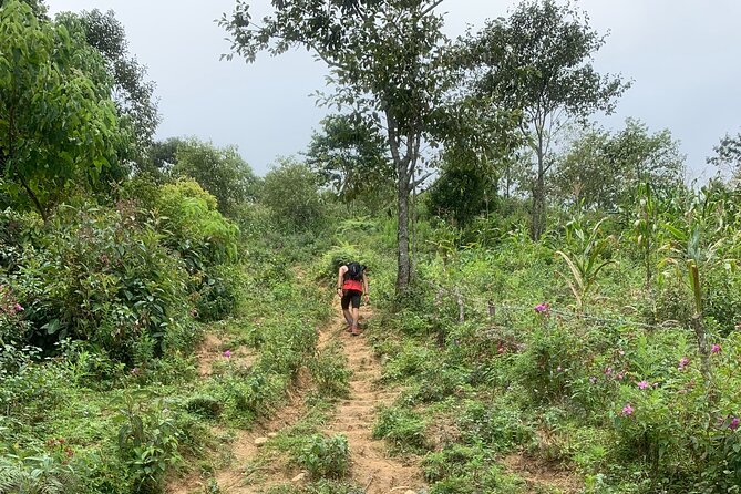 Full Day Sapa Cow Hill Trekking Tour - Common Questions