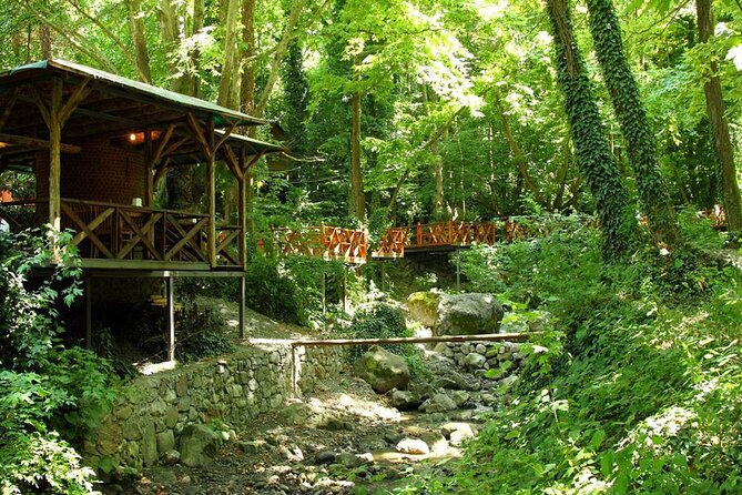 Full Day Sapanca Tour From Istanbul With Lunch - Common Questions