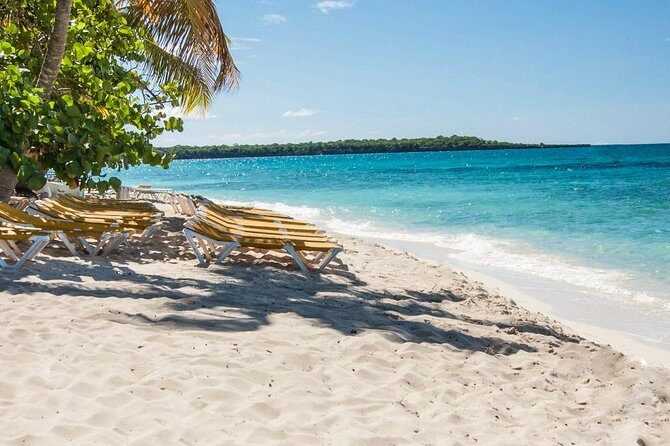 Full-Day Scuba Diving Catalina Island Tour from Bavaro - Practical Aspects for Travelers