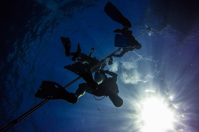 Full-Day Scuba Diving Catalina Island Tour from Bavaro - Authentic Experiences and Authenticity