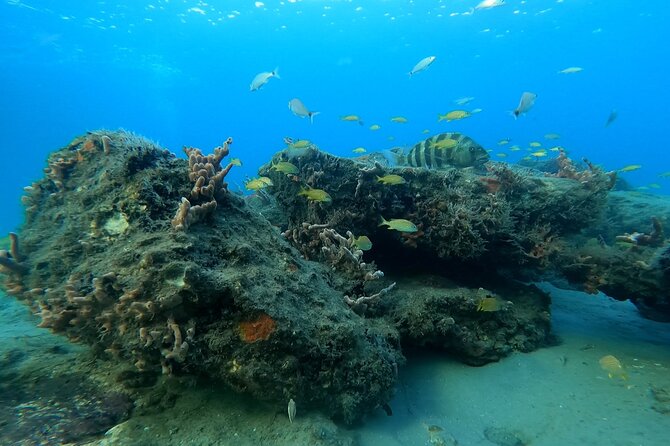 Full Day Scuba Diving Course: Pool and Boat Dive Experience - Pool Diving Session Details