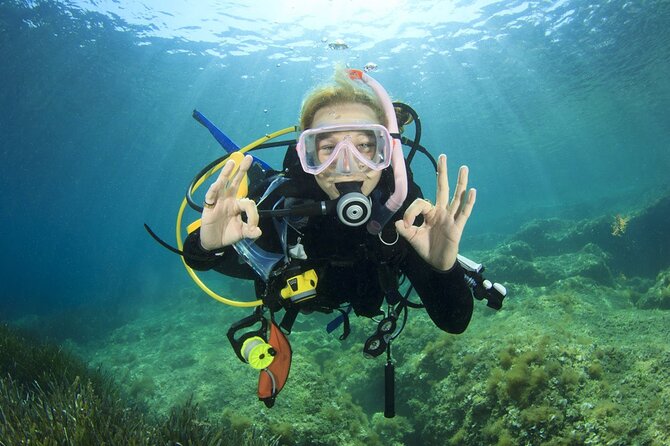 Full-day Scuba Diving Experience for Beginners & Lunch - Sharm El Sheikh - Experience the Red Seas Underwater Beauty
