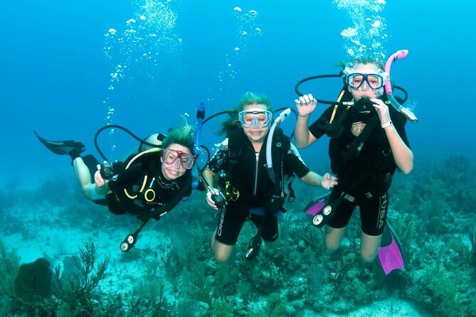 Full-day Scuba Diving Experience for Beginners & Lunch - Sharm El Sheikh - Safety Gear Provided by Professional Guides