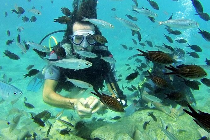 Full-Day Scuba Diving Experience in Alanya With Lunch and Pick Up - Inclusions