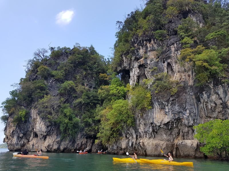 Full-Day Sea Kayaking Adventure in Ao Thalane Bay from Krabi - The first hour through the mangroves