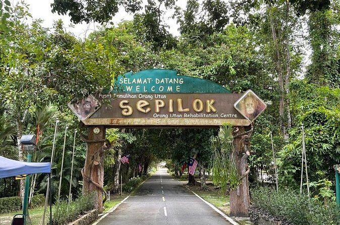 Full Day Sepilok Orangutan and Rainforest Discovery Centre Tour - The Sum Up