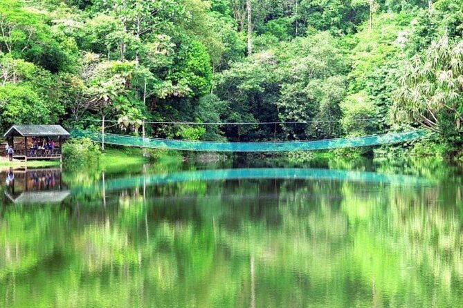 Full Day Sepilok Orangutan and Rainforest Discovery Centre Tour - FAQs