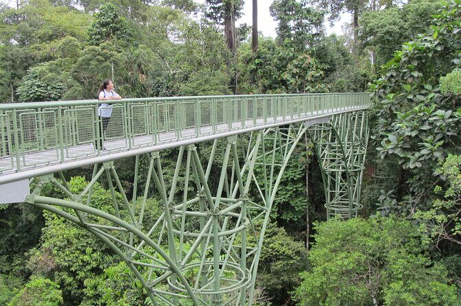 Full Day Sepilok Orangutan and Rainforest Discovery Centre Tour - A Closer Look at the Itinerary
