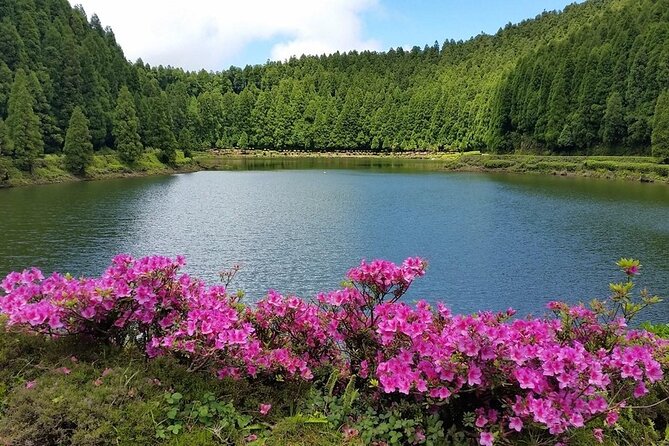 Full-Day Sete Cidades Crater Lake and Fire Crater Lake Private Tour - Pricing and Booking Details