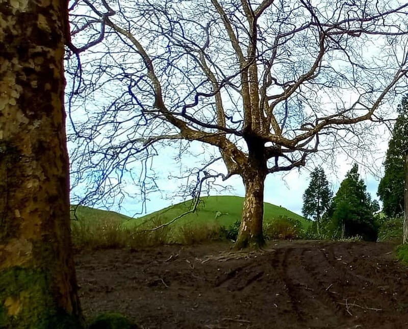 Full day Sete Cidades Lagoa de Fogo - Exploring São Miguel’s Volcanic Wonders in a Day