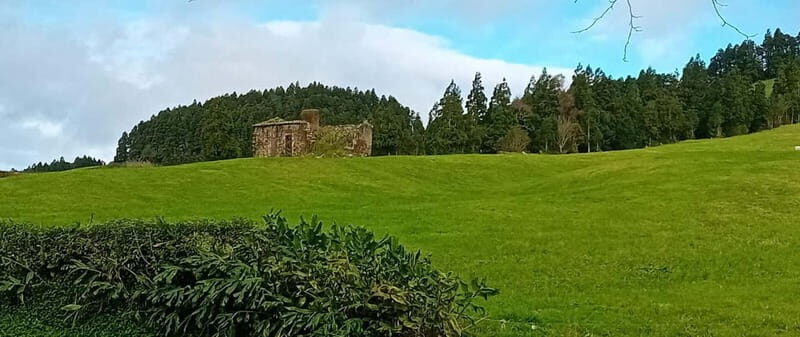 Full day Sete Cidades Lagoa de Fogo - Who Would Love This Tour?