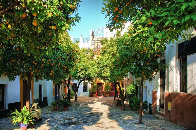 Full Day Seville Tour With Tickets (Optional Tapas & Flamenco) - Traveler Reviews