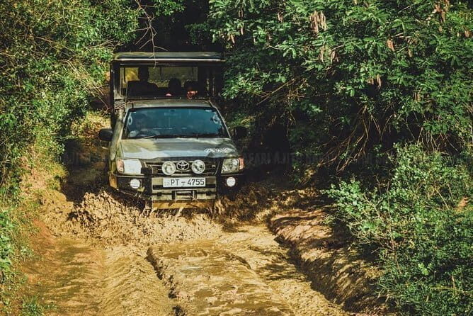 Full Day Shared Safari at Yala National Park by Yala La Safari Tours - FAQ