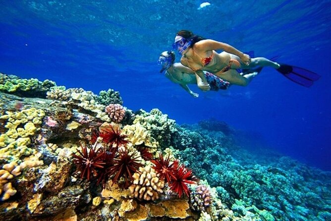 Full Day Shared Snorkeling to Hamata Islands From Marsa Alam - National Park Fees
