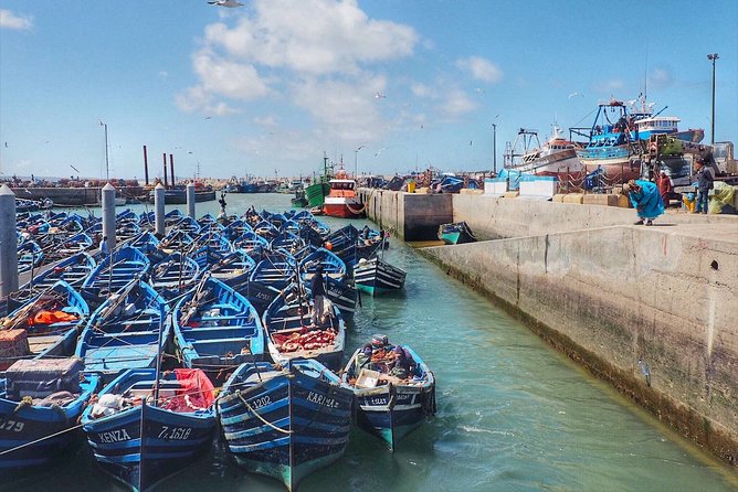 Full-Day Shared Tour in Essaouira From Marrakech With Pickup - Traveler Reviews
