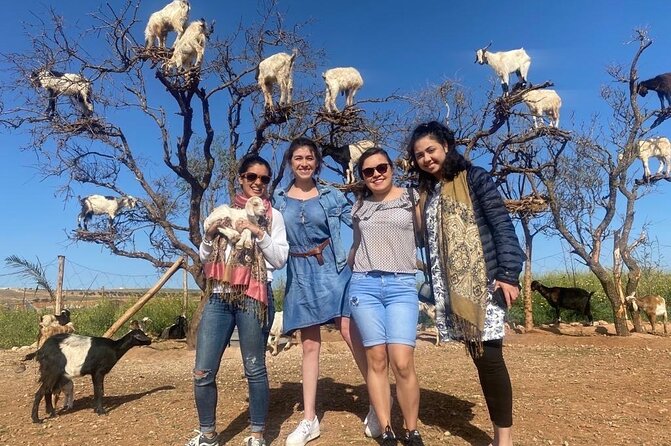 Full-Day Shared Tour in Essaouira From Marrakech With Pickup - Frequently Asked Questions