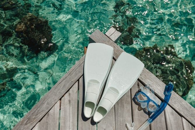 Full Day Sharm El Naga National Park Turtle House From Hurghada - What To Expect