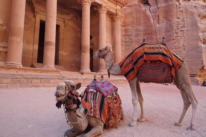Full-Day Shore Excursion to Petra From Aqaba Port - Good To Know