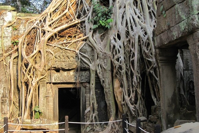 Full-Day Siem Reap Angkor Major Temples Private Tour - Included Amenities