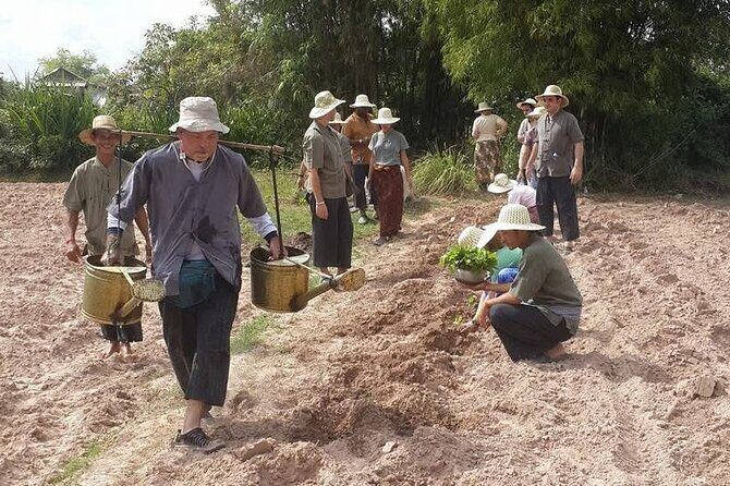 Full Day Siem Reap Farm Tour with Cooking Class and Monk Blessing - The Authenticity and Value of the Tour