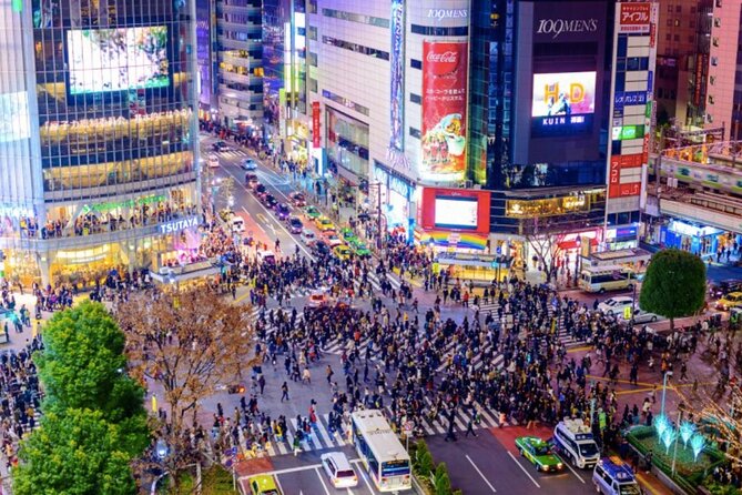 Full Day Sightseeing Private Tour in Tokyo With Guide - Pickup Information