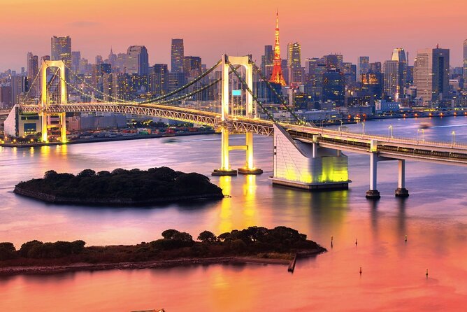 Full Day Sightseeing Private Tour in Tokyo With Guide - Additional Details