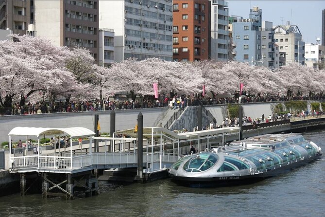 Full Day Sightseeing Private Tour in Tokyo With Guide - Booking Process