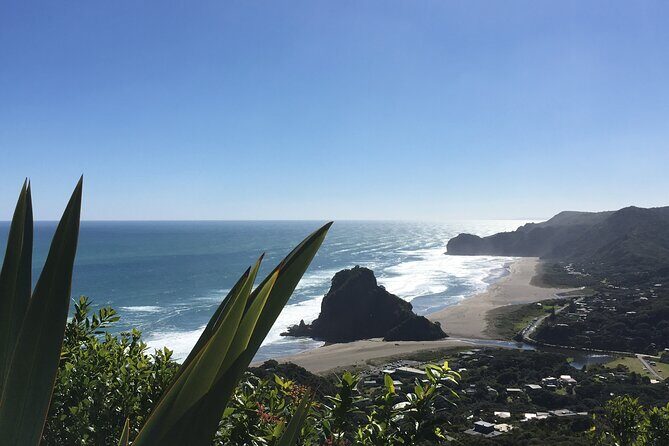 Full Day Sightseeing Tour in Auckland - Good To Know